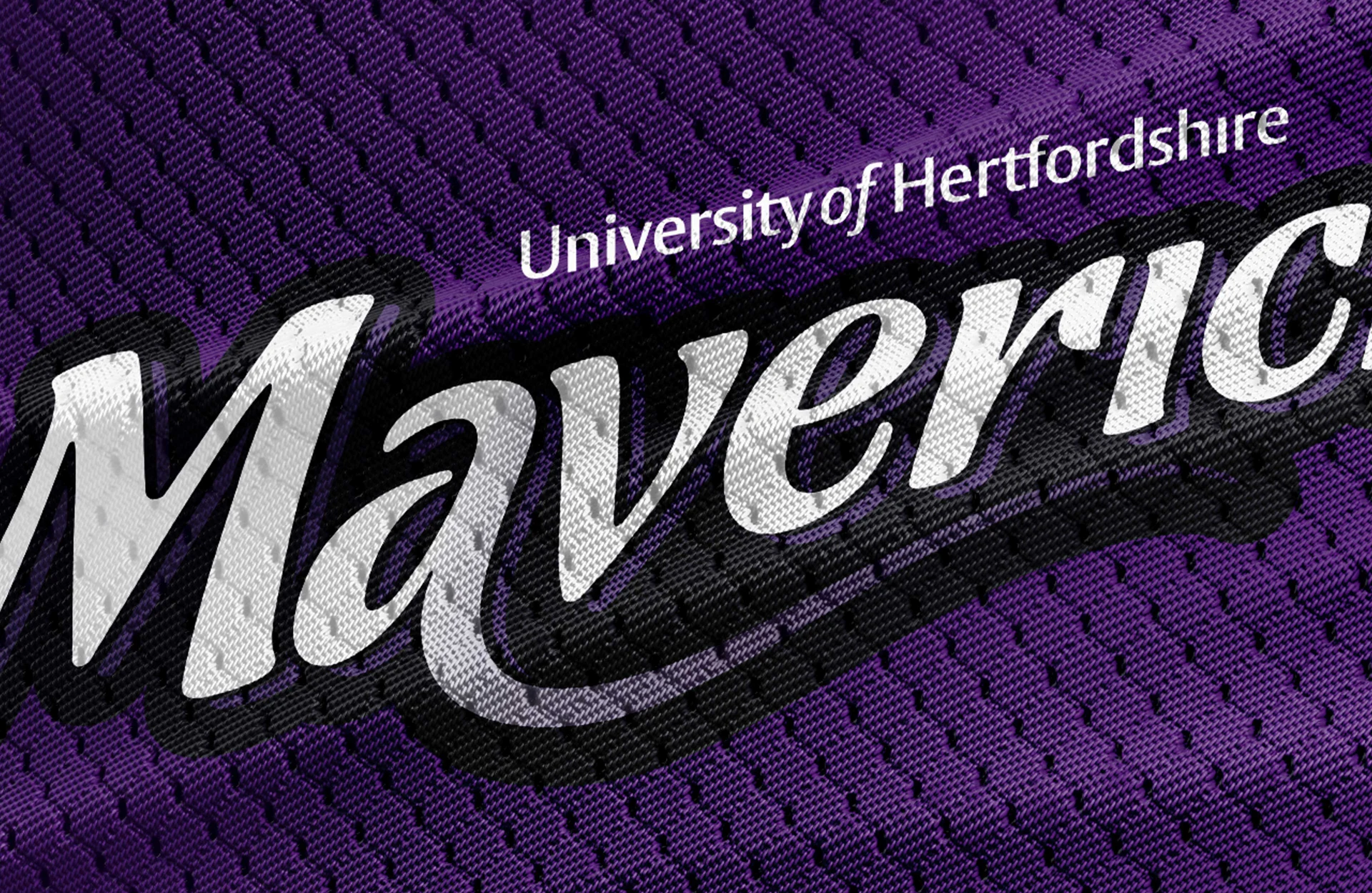 Mavericks project artwork