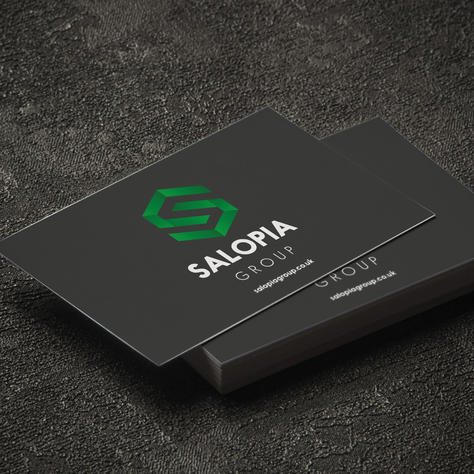 Salopia project artwork