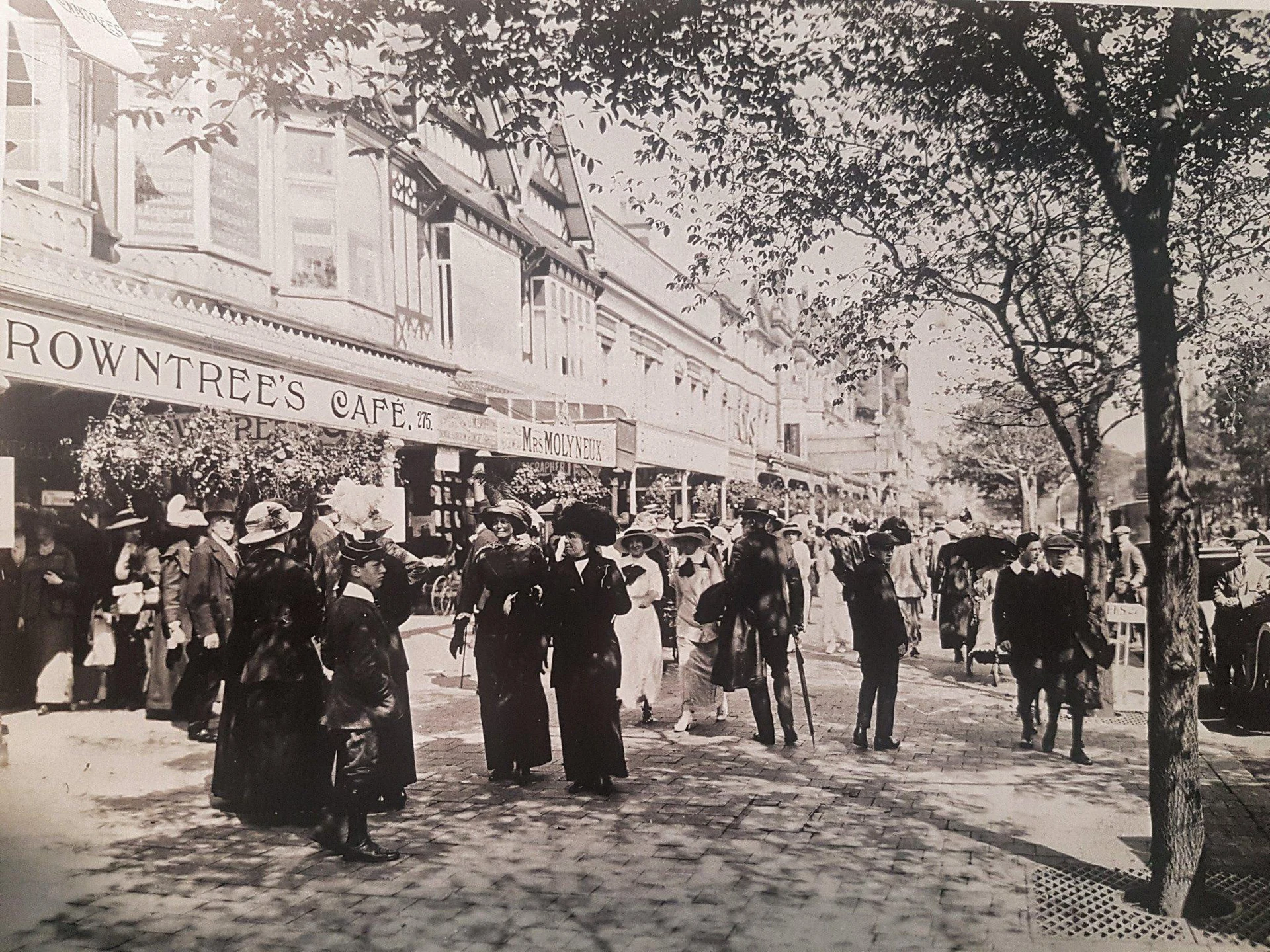 Sefton Suffragettes project artwork